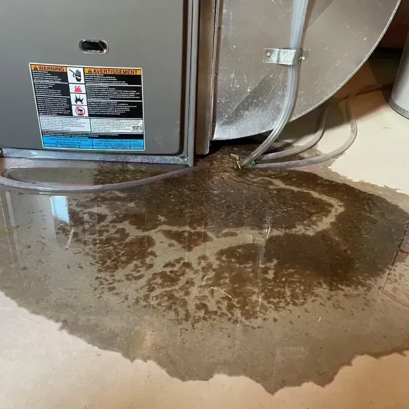 Appliance Leak Cleanup in Nevada, MO